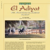 n.16 - El Adiyat
